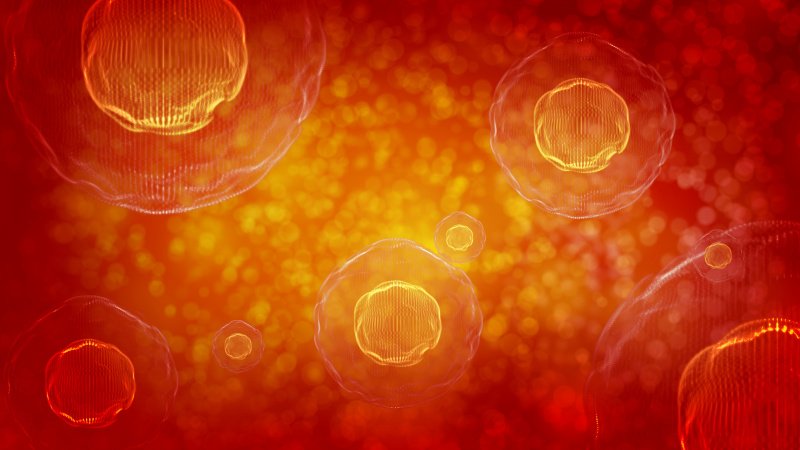 Crime Scene Cleanup Risk-Blood-borne Pathogens